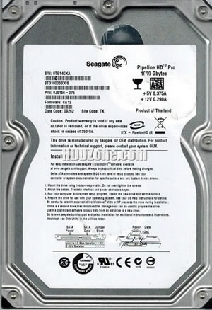 Seagate ST31000533CS Hard Disk Drive