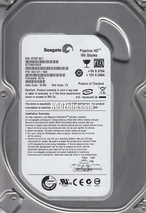Seagate ST3160310CS Hard Disk Drive