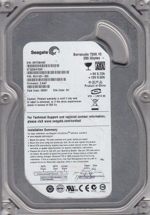 Seagate ST3250410AS Hard Disk Drive