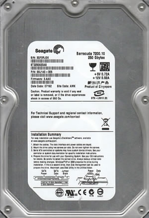 Seagate ST3250620AS Hard Disk Drive