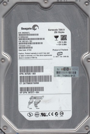 Seagate ST3250624AS Hard Disk Drive