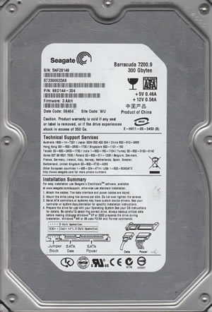 Seagate ST3300622AS Hard Disk Drive