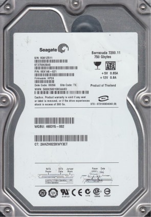 Seagate ST3750630AS Hard Disk Drive