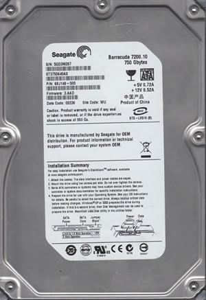 Seagate ST3750640AS Hard Disk Drive