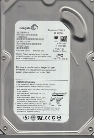 Seagate ST3802110AS Hard Disk Drive