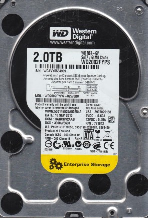 Western Digital WD2002FYPS Hard Disk Drive