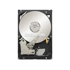 Seagate HDD ST3100333AS