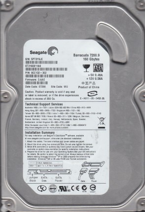 Seagate HDD ST3160811AS