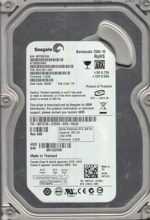 Seagate HDD ST3250310AS