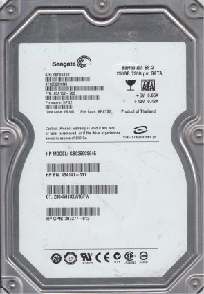 Seagate HDD ST3250310NS