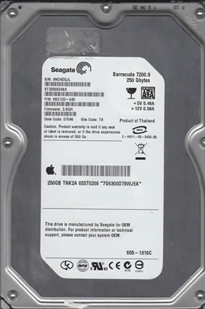 Seagate HDD ST3250824AS