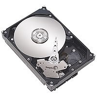 Seagate HDD ST980811AS